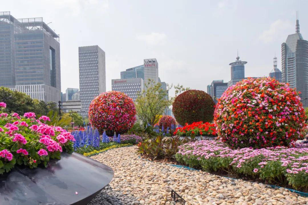 城市大扫除花卉处处开用心清洁扮靓浦东的脸