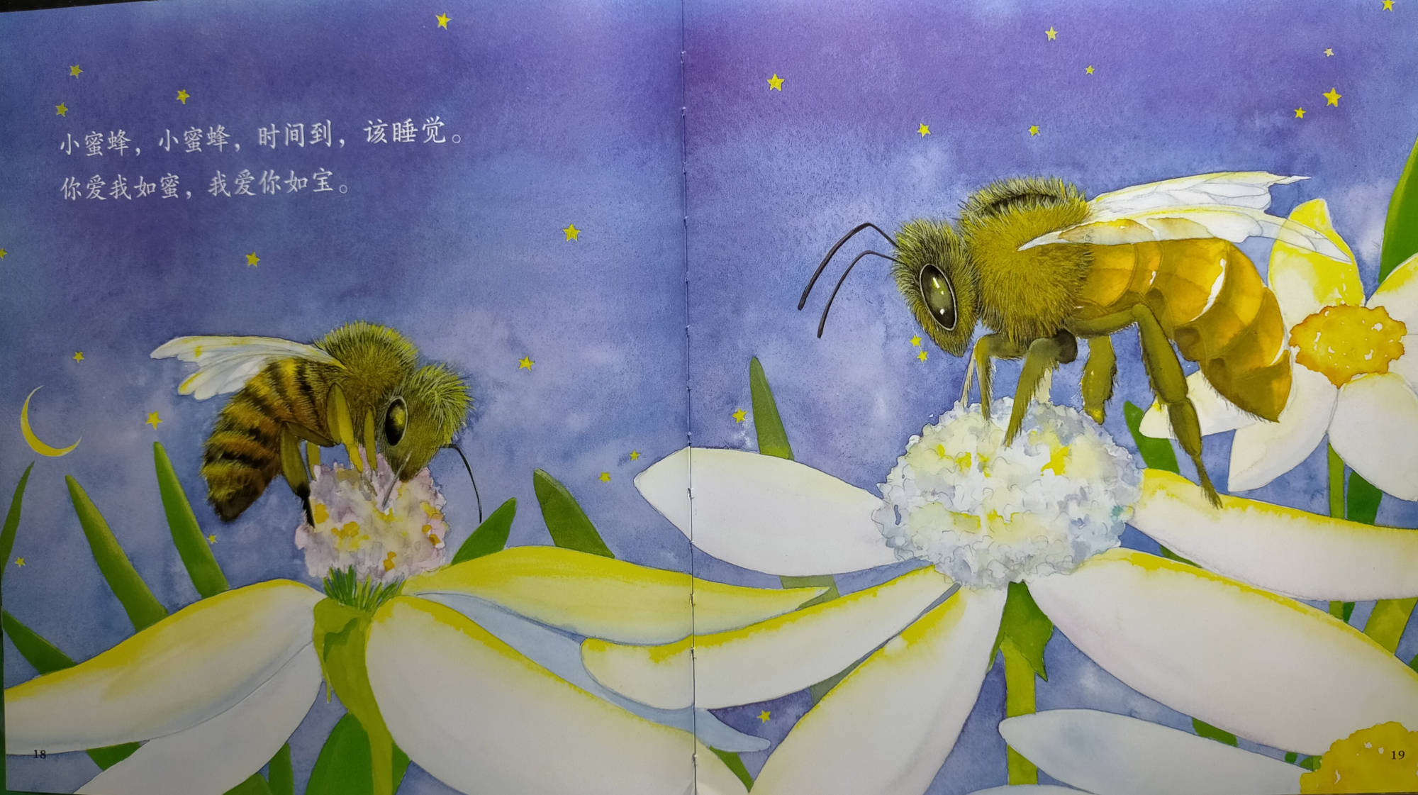 "小蜜蜂,小蜜蜂,时间到,该睡觉,你爱我如蜜,我爱你如宝.