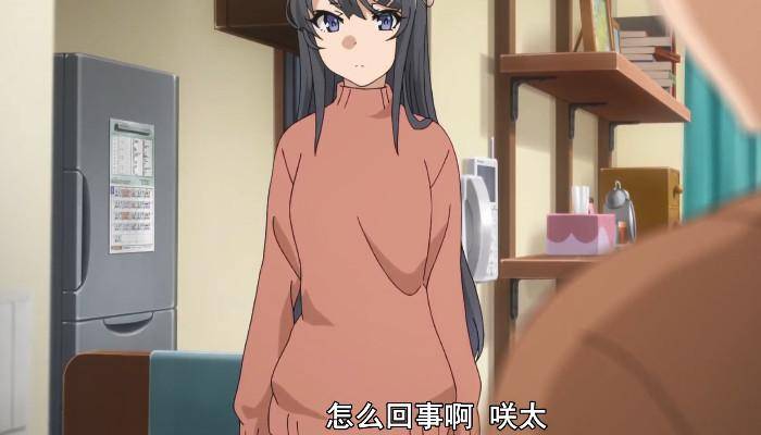 为什么我们都喜欢樱岛麻衣穿兔女郎装不重要最后一项是重点