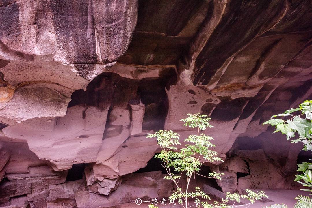 旅游攻略:自驾车抵达西樵山停车场,然后换乘景区交通车到采石场附近