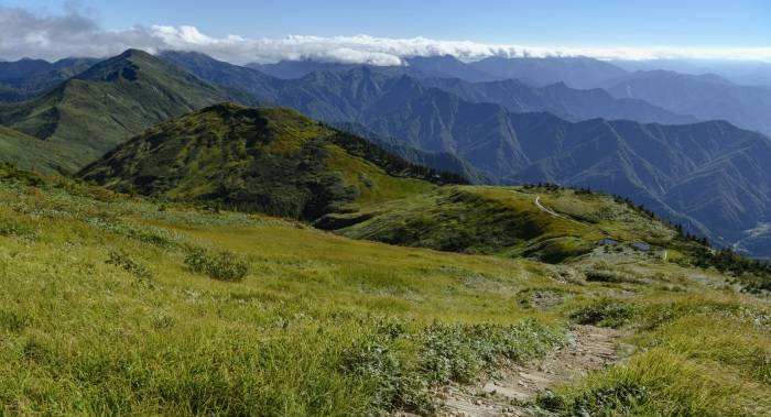 主动性退出，或是一些家电厂商今年最正确的选择！-家电圈官网