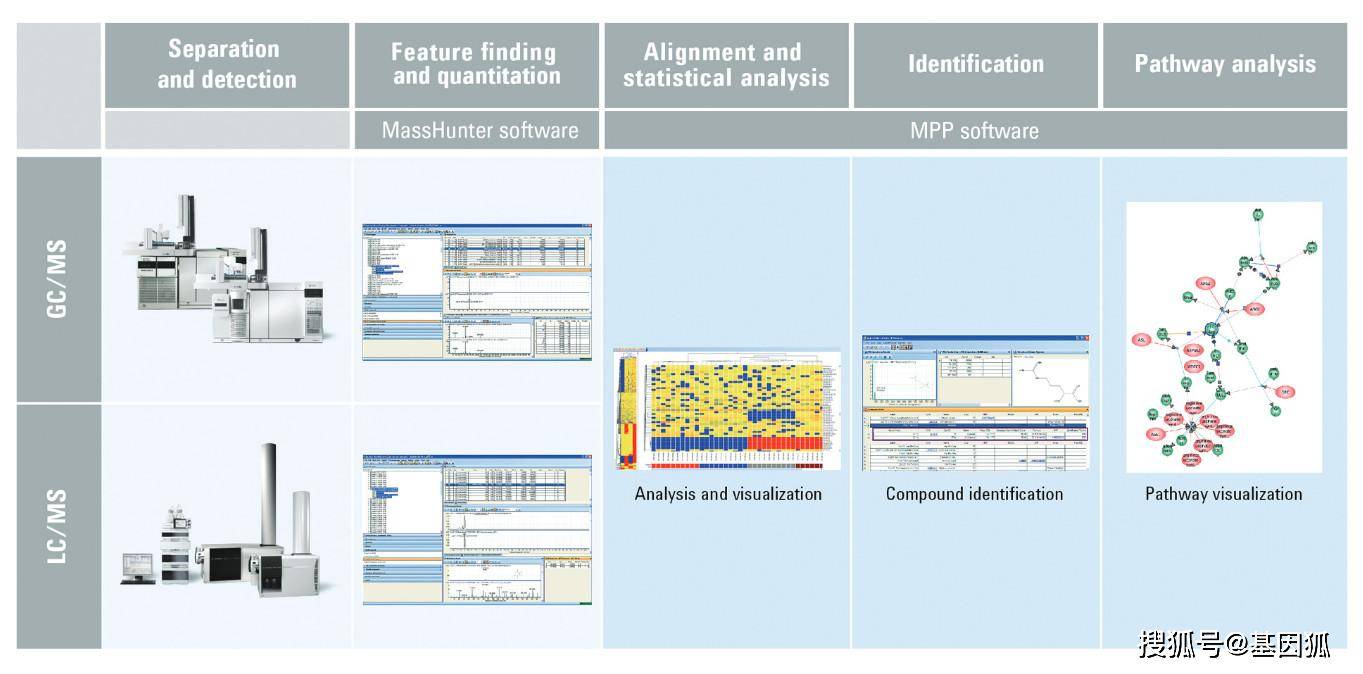 原创科普 代谢组学研究那些事儿
