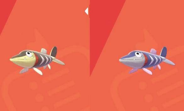 在伽勒尔的水域中,刺梭鱼是非常常见的一种宝可梦,它