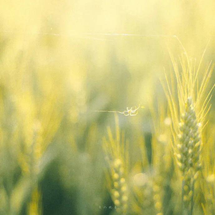 图片[16] - 【xizi被窝段子20200529】生活是苦难的 我又划着断桨出发 - xizi