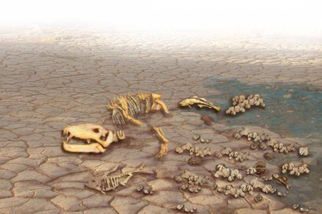 第二次生物大灭绝的原因和今天的地球竟十分相似令人担忧