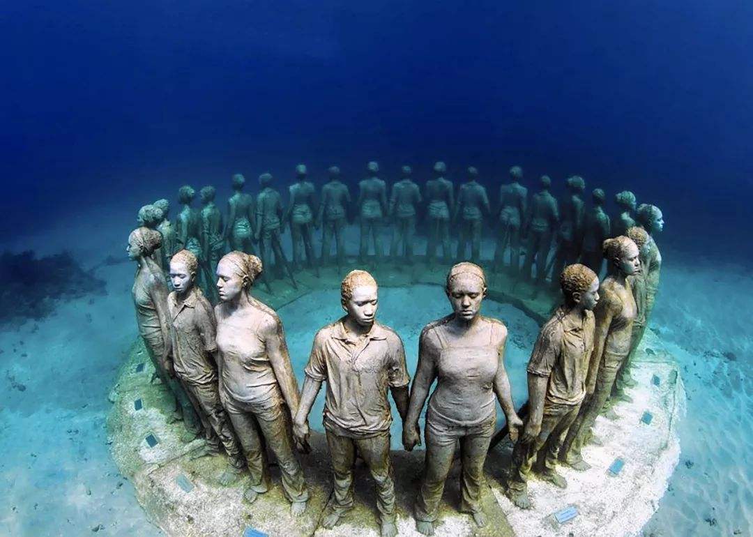 你听说过"水族人"吗?深藏海底10年未露面,如今已被明令保护!