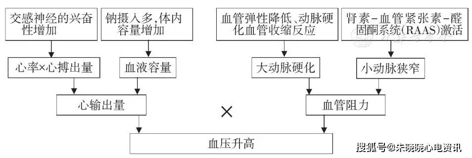 三,病理生理机制[6,7 高血压的发病机制复杂,血压的调节受心输出