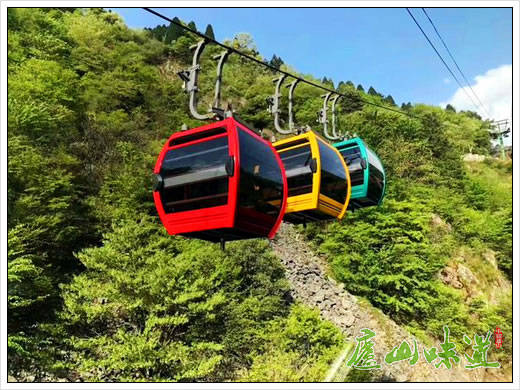 庐山味道:庐山星龙索道多措并举促进庐山旅游市场提振复苏