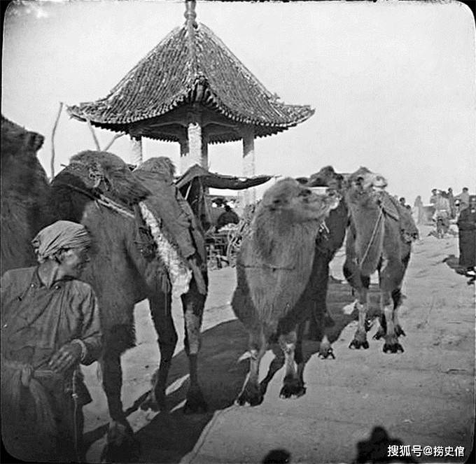 1900年老北京的骆驼队,是古老皇城的一道风景