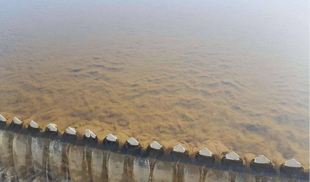 如何才能伺候好有脾气的污泥?