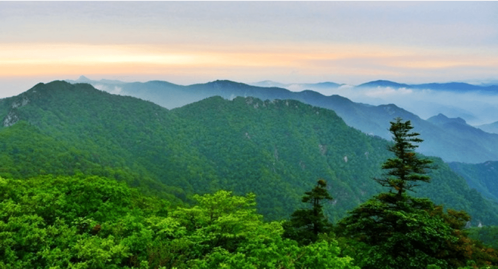 江原道雪岳山图片