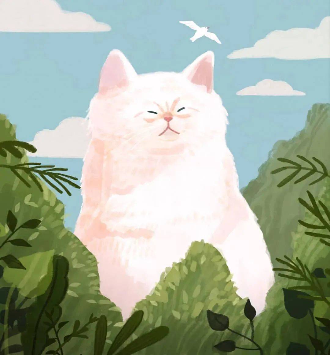 韩国插画师jeongha笔下的巨型猫咪