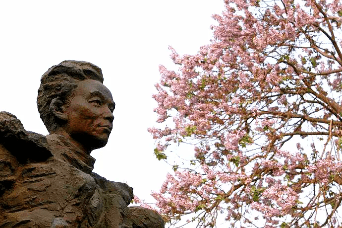 采风团一行首先来到兰考焦裕禄纪念园瞻仰焦陵,在焦桐下重温焦裕禄