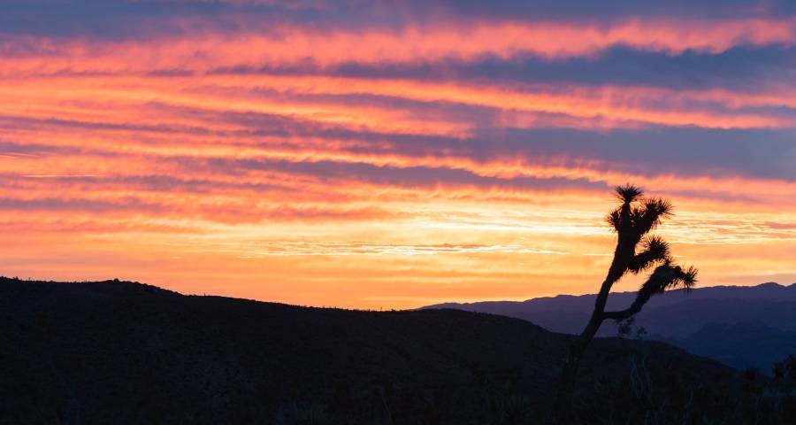 乱价成为今年家电市场最大毒瘤：100个商家有101种零售价格-家电圈官网