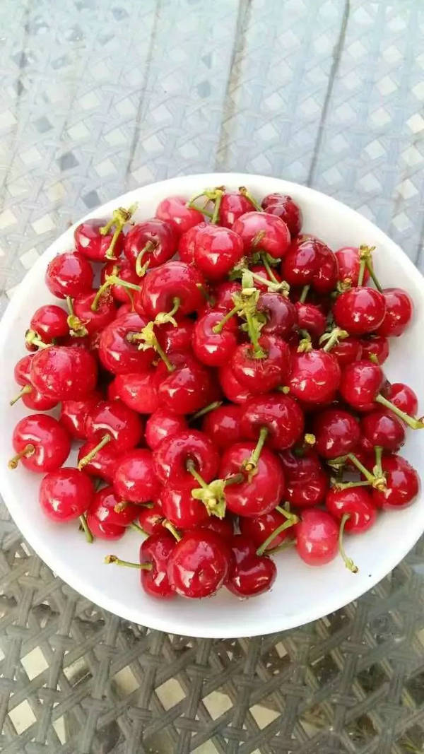 第五届北京顺义樱桃采摘旅游文化节,来顺义,品味初夏的滋味