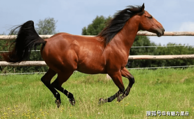 财大气粗的"生肖马",未来6天囍囍囍"不请自来",马上行动吧!