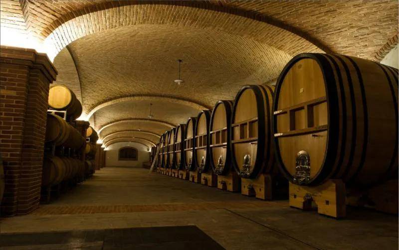 典型的旧派Barolo酒窖，巨大的斯洛文尼亚橡木桶是典型特征