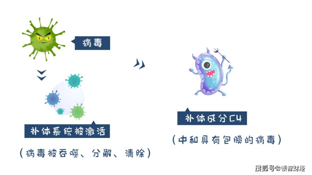 补体系统:从罕见病到新冠治疗,新靶点的研发之路_炎症