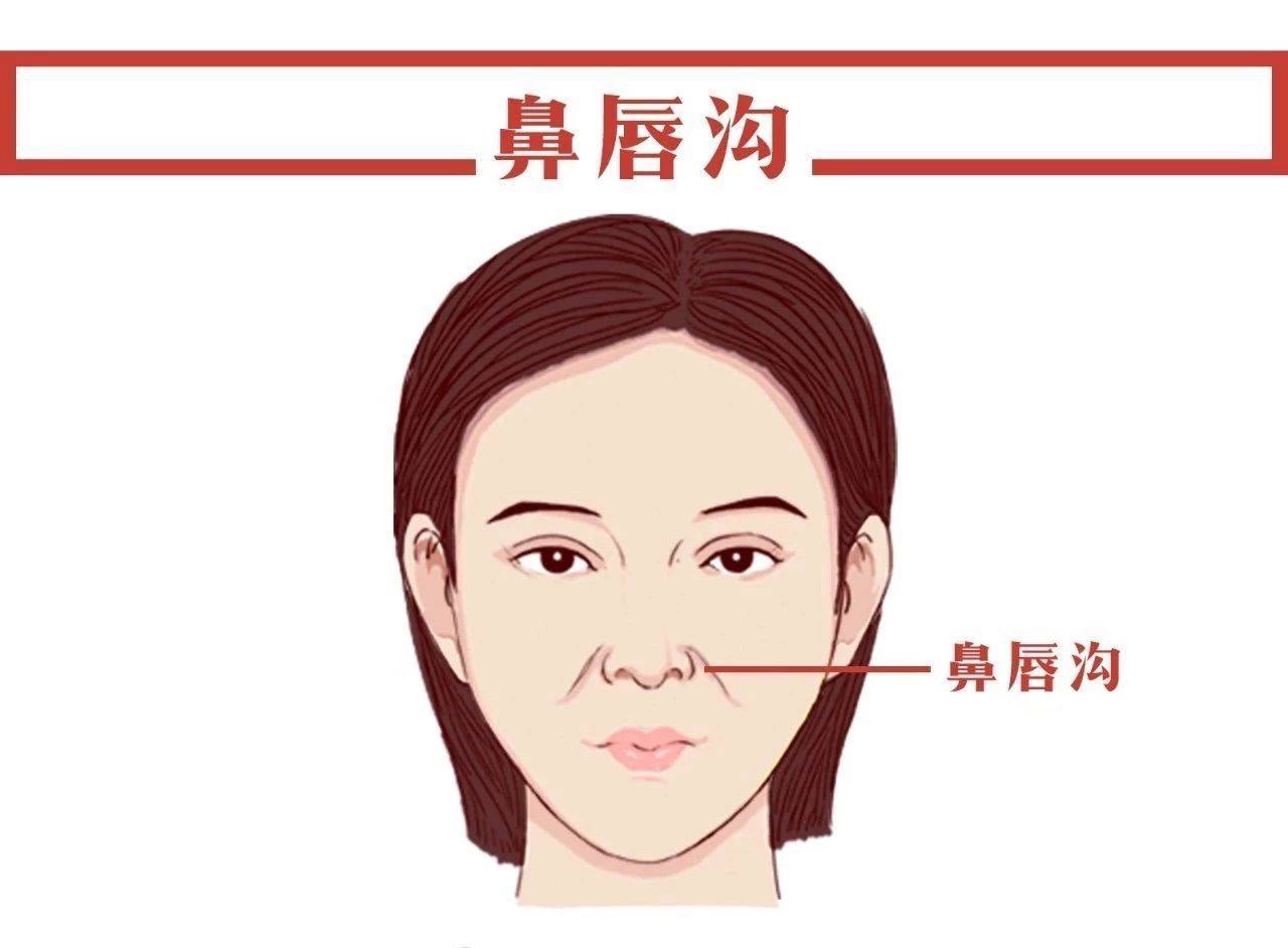 鼻唇沟也就是大家常说的法令纹,在鼻翼两侧到嘴角两侧的位置,它分开了