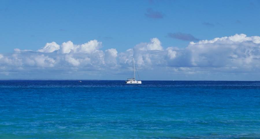 家电业如何应对复杂多变的未来?高度的自律,绝对的坚持!-家电圈官网