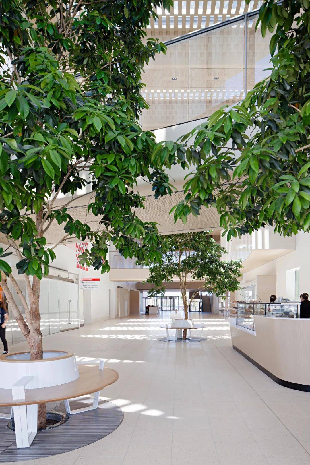 澳大利亚最大的区域性医院世界一流的医疗设施耗资63亿澳元