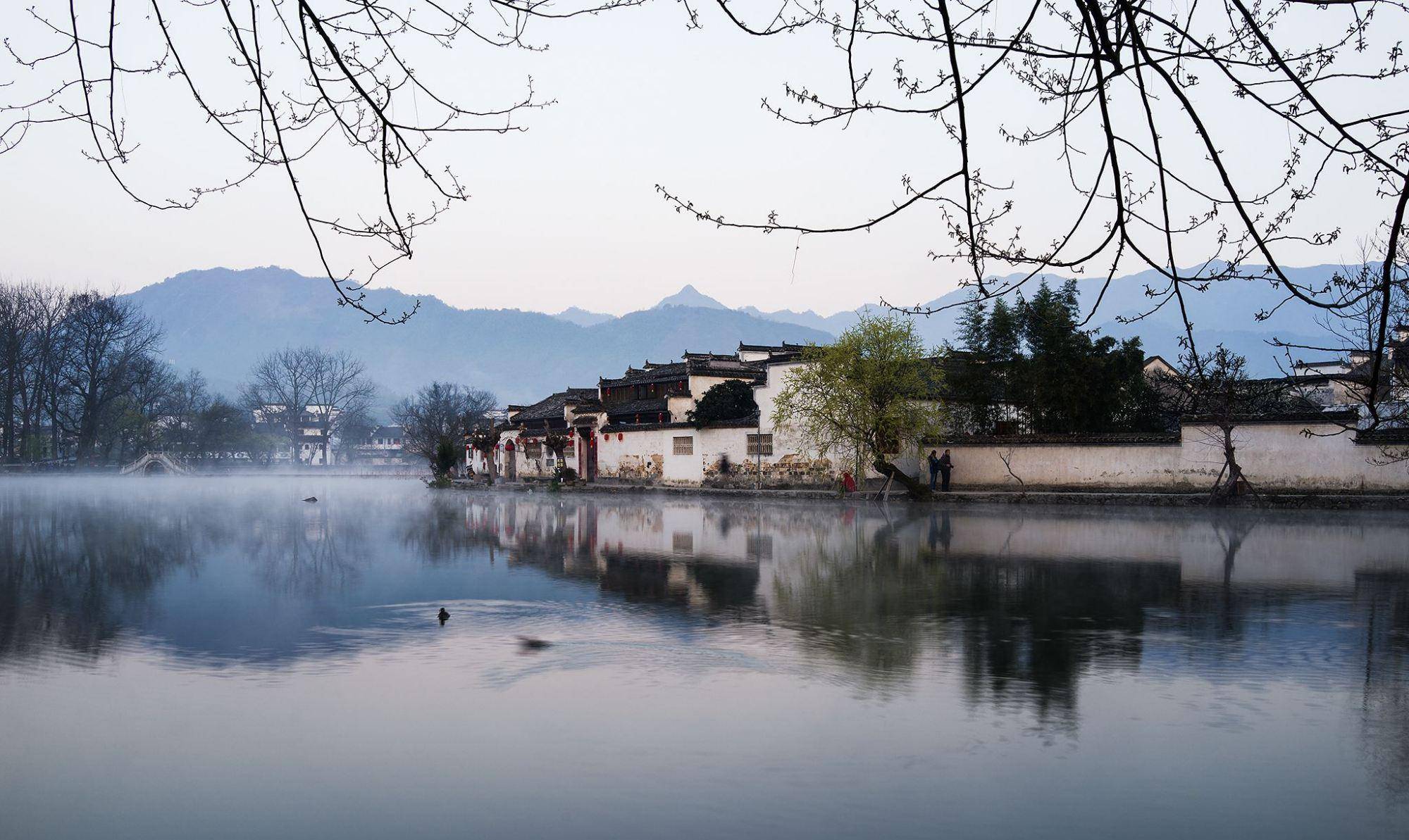 哪怕我们不能在一起,我依然想把这《卧虎藏龙》的美丽分享给你