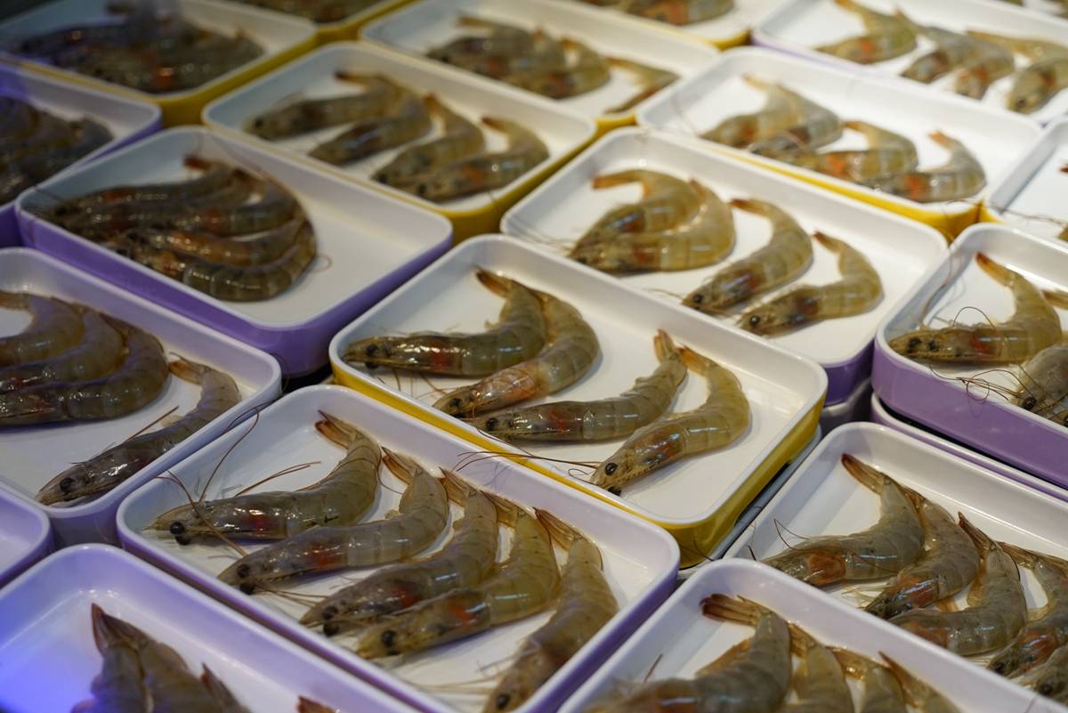 蚝英雄——开启鲜蚝自助新时代