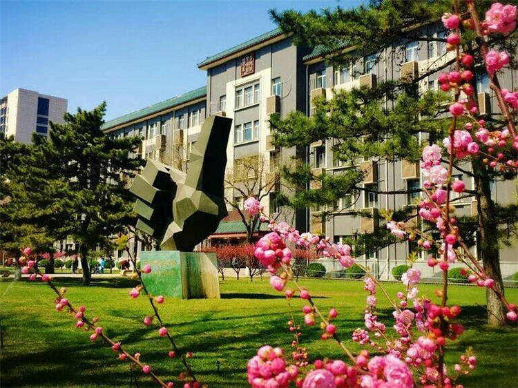 独峰考研中国传媒大学数字媒体艺术考研辅导班中传动画学院考研经验