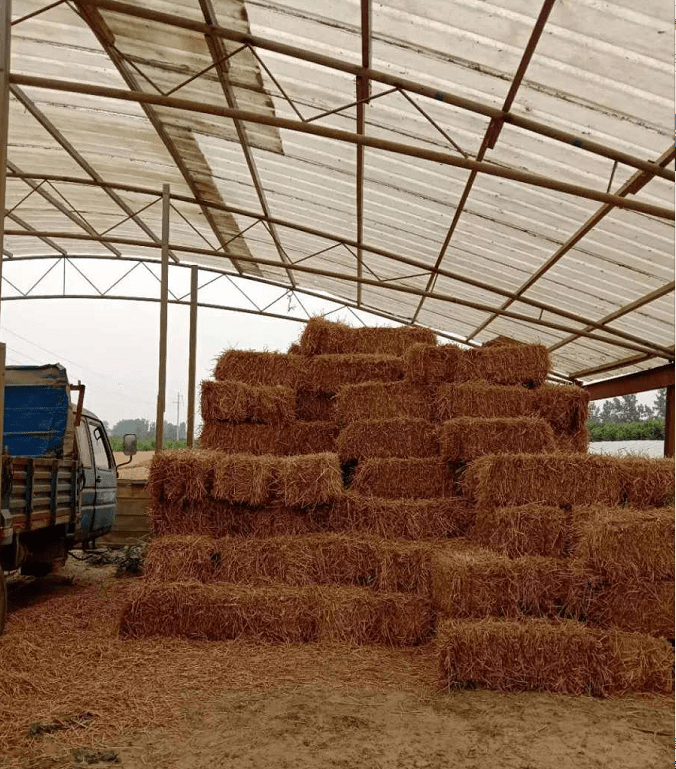 商丘市示范区张阁镇:巧用麦秸打捆机 省时省力变废为宝_手机搜狐网