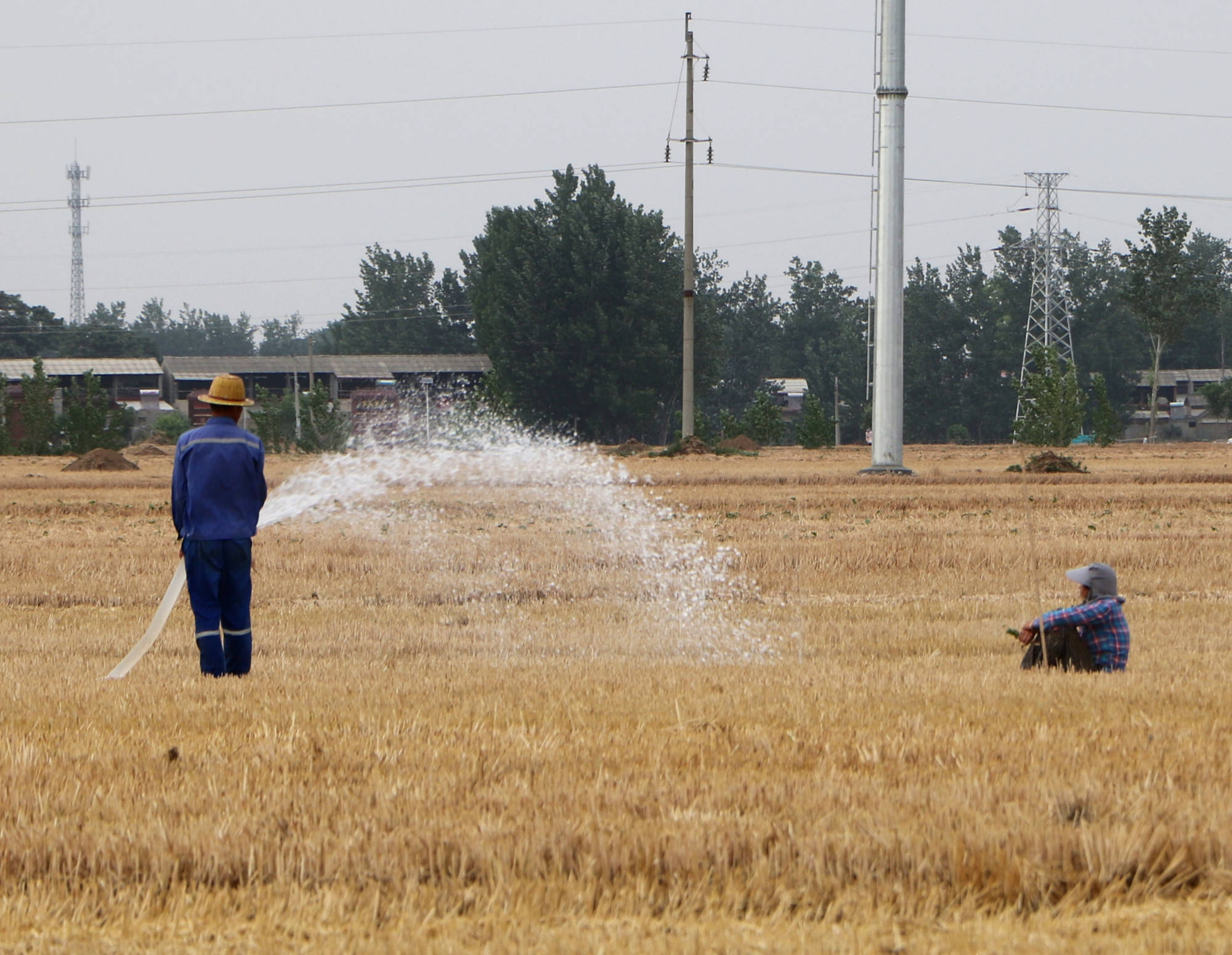 临颍:麦收之后,地里的农民都在为这事儿忙活