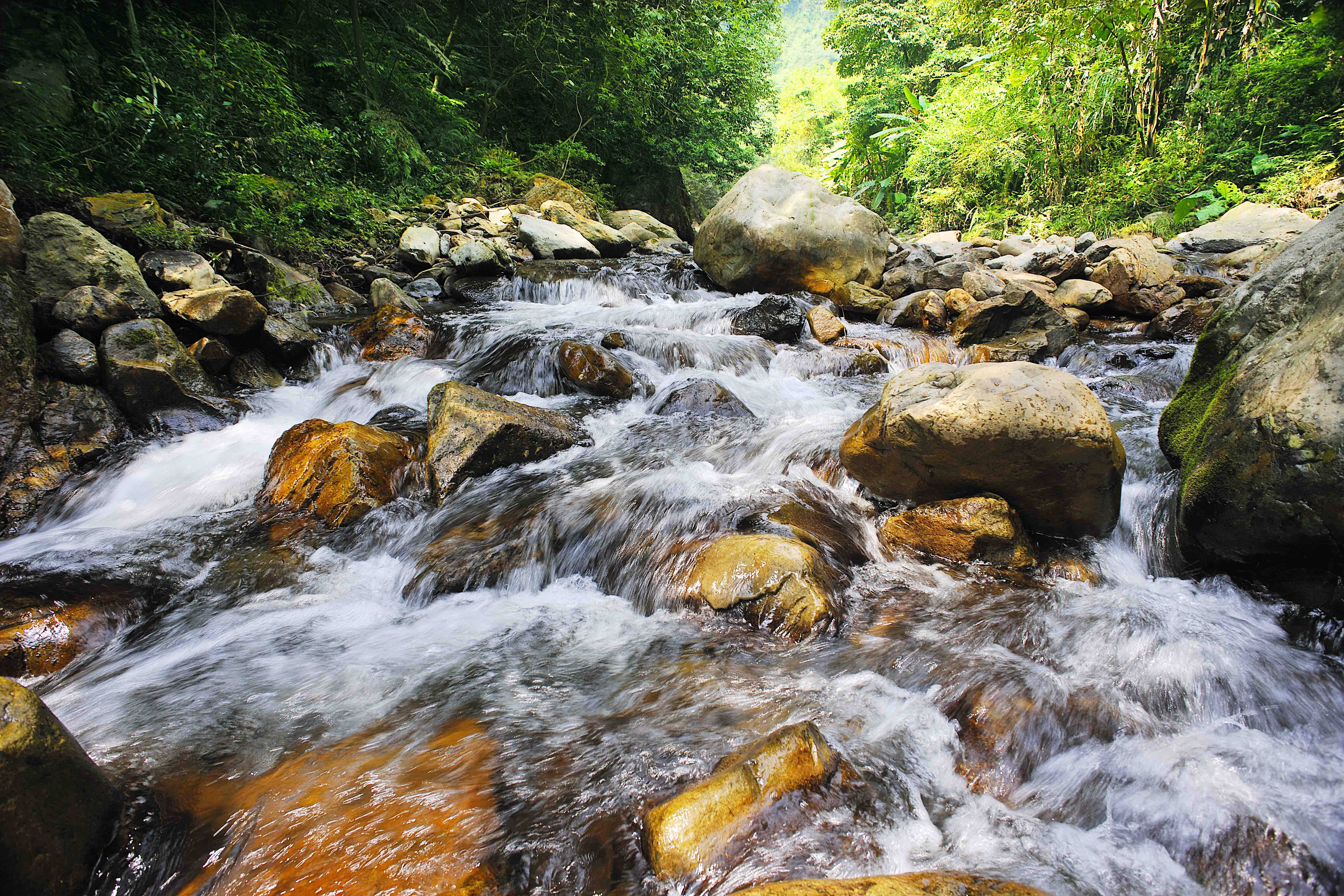 廈門本地山泉水配送選哪家