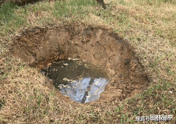 图为频繁浇水后草坪20公分下土壤内的水分