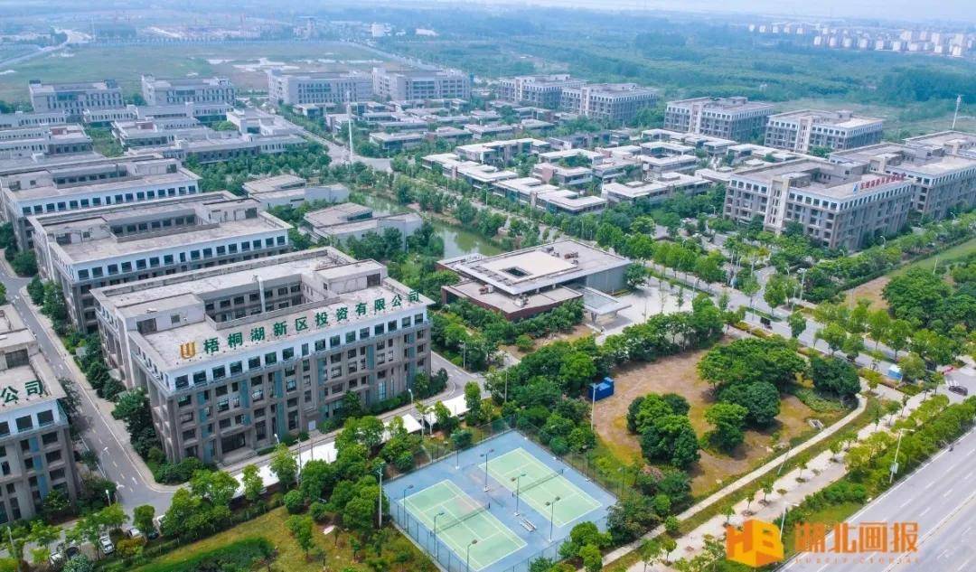 引凤梧桐 助力腾飞 梧桐湖生态科学城