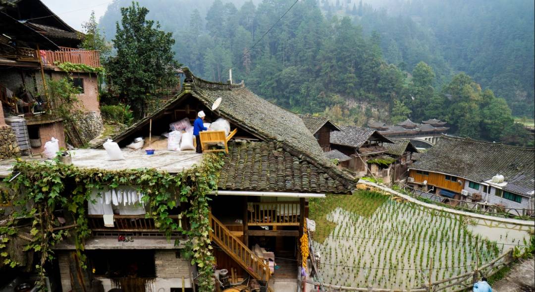 贵州唯一受国家保护苗寨村落,比西江千户苗寨原始,夏天避暑首选