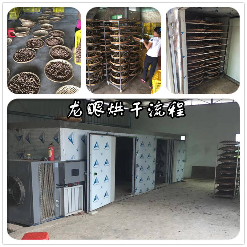 新式龙眼烘干机提高了干燥品质