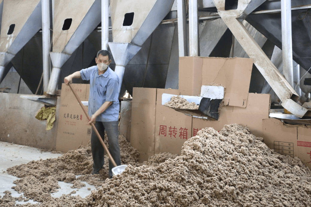利用现代化的加工设备将艾草打碎进行烘干,搓揉,然后送至下一生产线