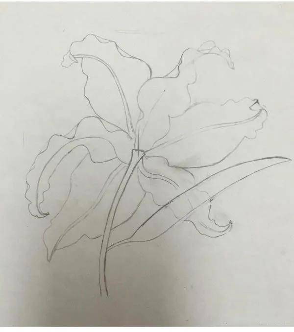 水彩怎么画水彩画自学教程02水彩画入门到精通步骤图