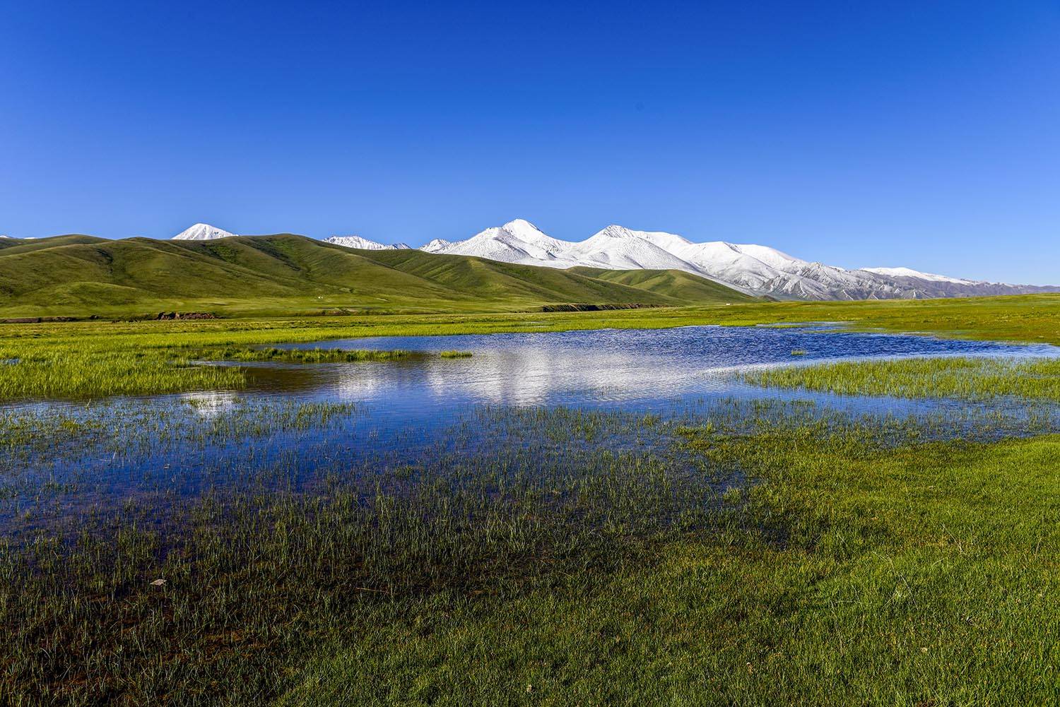新疆是个好地方——天山,天池,草原