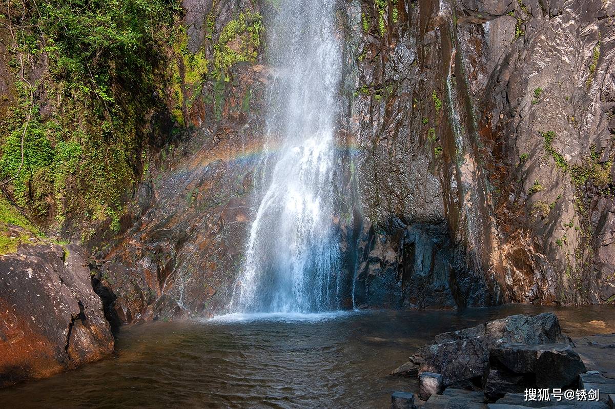 原创长寿之乡广西贺州,森林公园内做瑜伽,感受山水人合一的境界