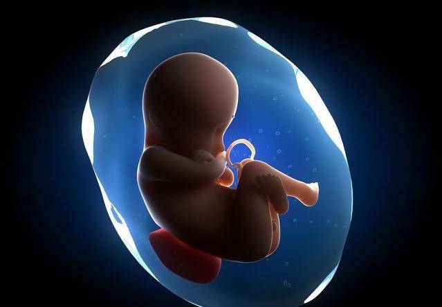 胎儿发育的3个猛涨期,孕妇营养跟得上,孩子发育会更好