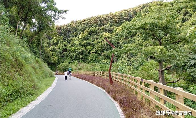 又到深圳的羊台山上走了一趟,拍了许多照片,自从羊台山绿道修好以后