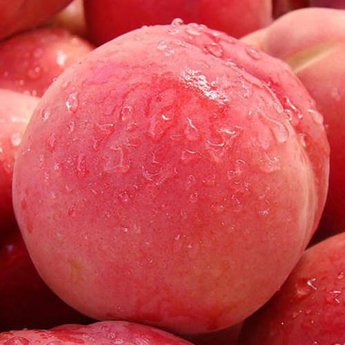 解暑的水果不光是西瓜还有以下几种