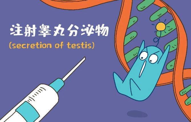 从奇葩到科技人类3000年不老秘术大揭秘
