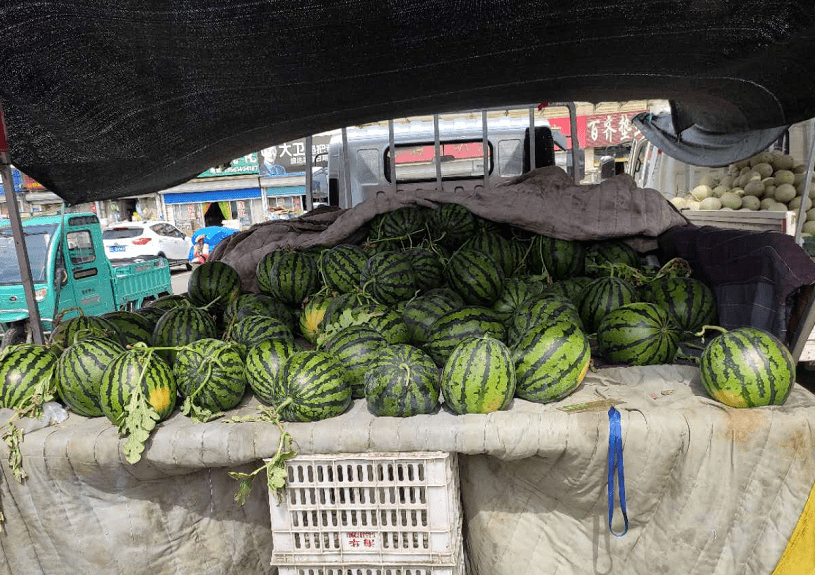 新龙城开辟地摊"自卖区"——西瓜便宜到8毛钱一斤