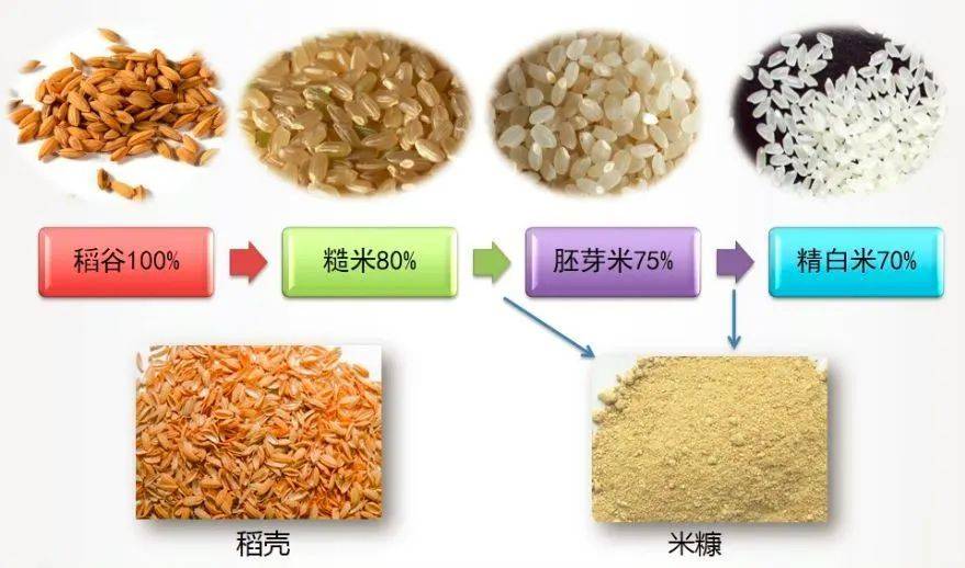 稻米油沸点图片