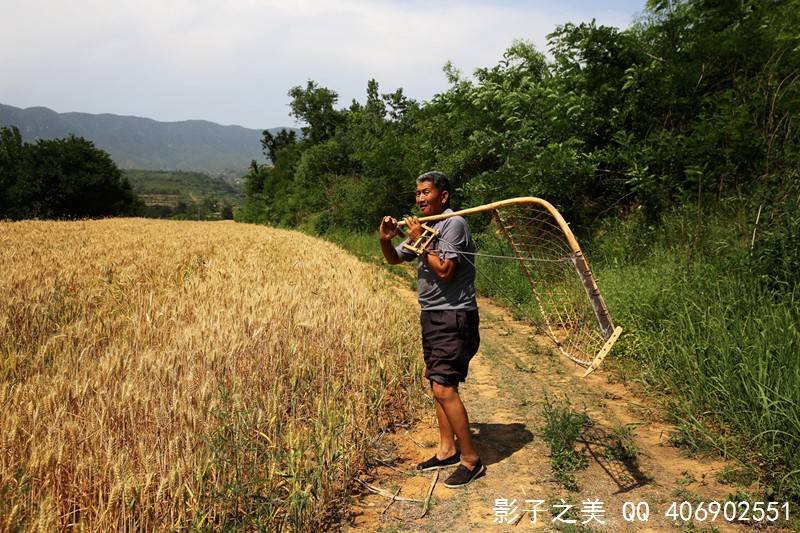 "掠子" 割麦神器 晋南垣曲传统麦收工具