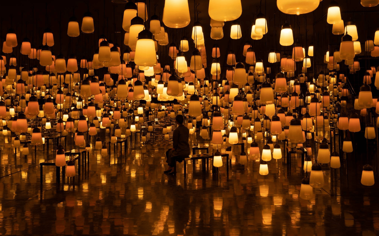 呼吸灯森林中的齐放百花