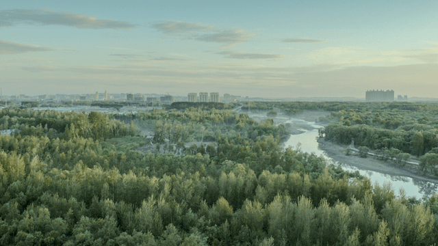 形成一片湿地,这片湿地就是国家级湿地"乌兰浩特洮儿河国家湿地公园"