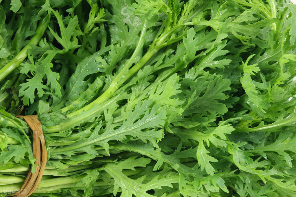 11.茼蒿茼蒿营养丰富,尤其是胡萝卜素,每百克中含1.