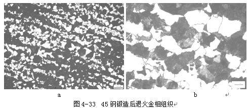 说明:45钢 锻造退火状态 白色块状铁素体和黑色块状珠光体,带状组织t8